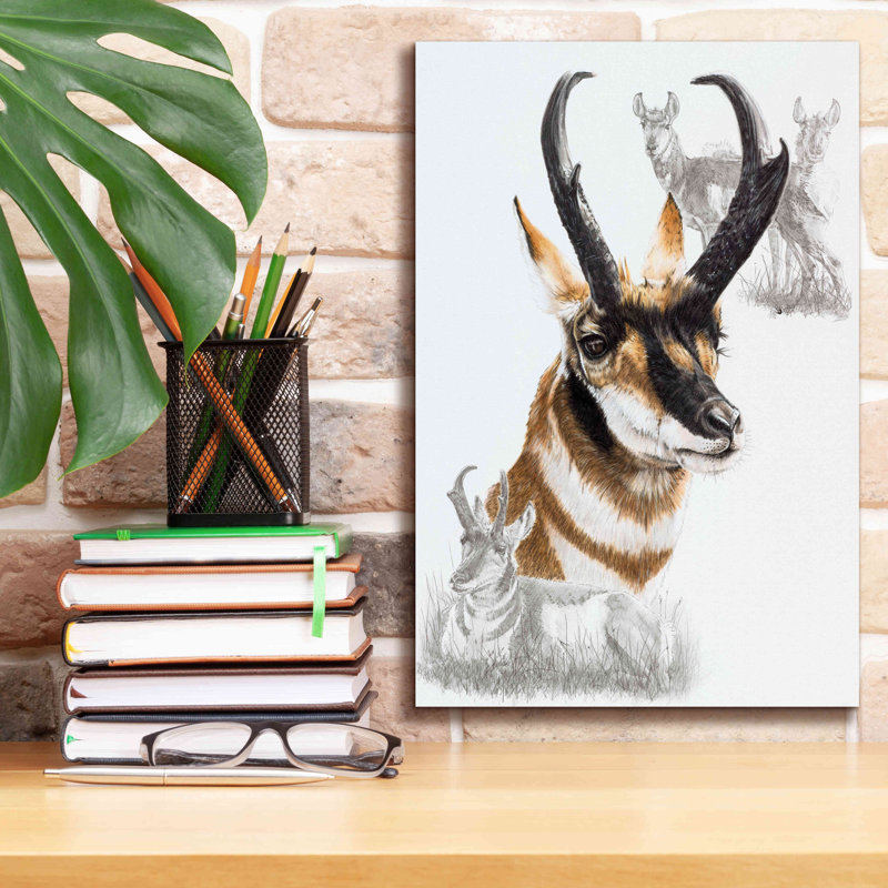 «Pronghorn» par Barbara Keith, art mural sur toile, H 18 po x l 12 po x P 0,75 po
