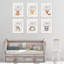 Daily Animals 6 - Piece Paper Print
