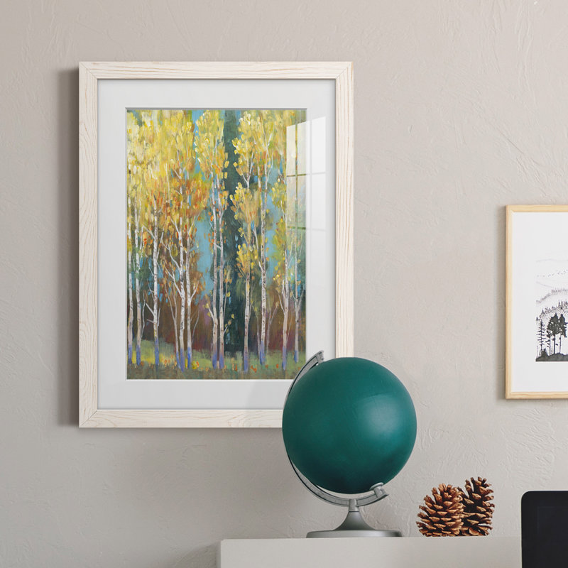 Aspen Grove I encadré mat - prêt à accrocher, Blanc, H 24 po x l 20 po x P 1 po