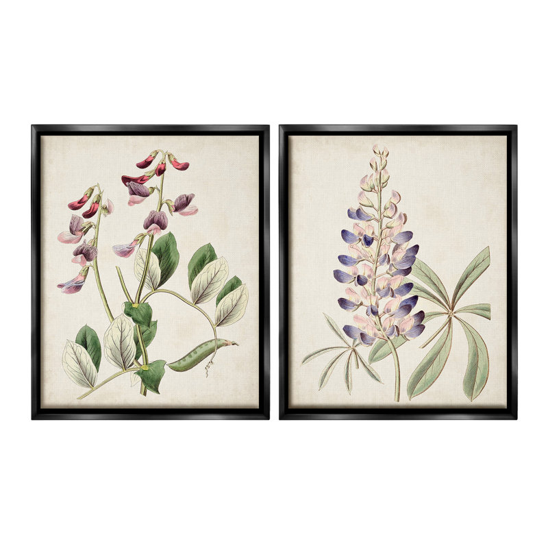 " Foxglove Latin Studies Floater Frame " by Ridgeway 2 - Pieces, Jet Black Floater Frame, 31" H x 25" W