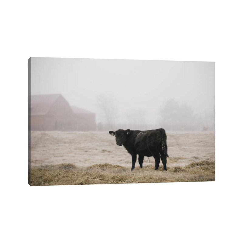 Farm Study II 1 Piece Wrapped Canvas Wall Art, 66.04 cm H x 45.72 cm W x 1.91 cm D