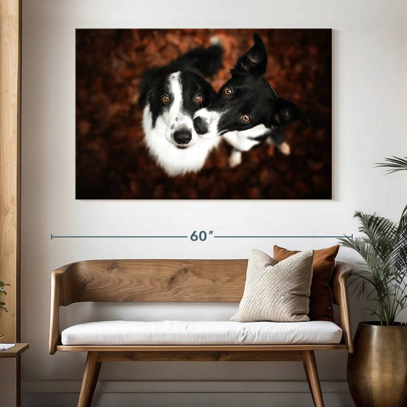Brampt Adorable Border Collies, 34'' H x 51'' W