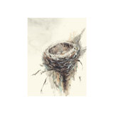 On The Branch I Print by Sara Brown