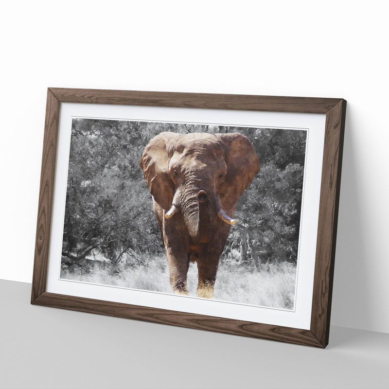 Elephant Vol.1 - Picture Frame Graphic Art, Walnut Framed, 36cm H x 48cm W x 2cm D