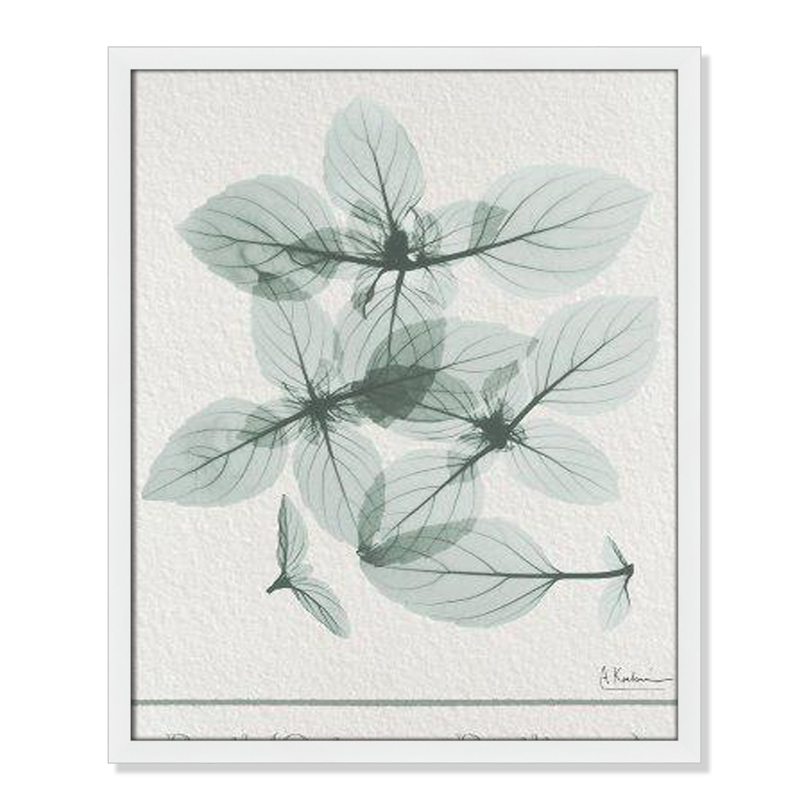 Jeanette "Basil Ocimum Basilicum" Painting, 25.5" H x 21.5" W x 1.25" D, Satin White Framed Paper