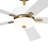 56'' Ceiling Fan with LED Lights-1440502435