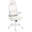 Office Chair with Headrest-252896914