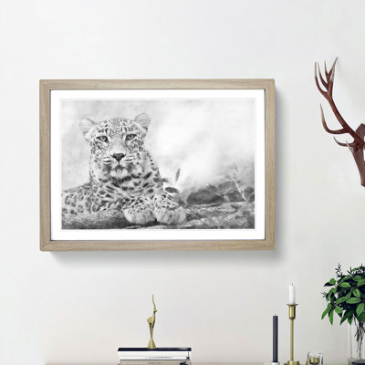 Leopard Resting - Picture Frame Photograph Print