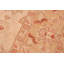 Tapis beige / brun en laine noué à la main de style oriental rectangulaire 6 pi 2 po x 8 pi 10 po Baccio