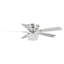 Caenas 52'' Ceiling Fan with Light Kit