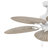Overlock 52" Indoor/Outdoor 5-Blade Ceiling Fan with Pull Chain and Palm-Shaped Composite Fan Blades-66771194