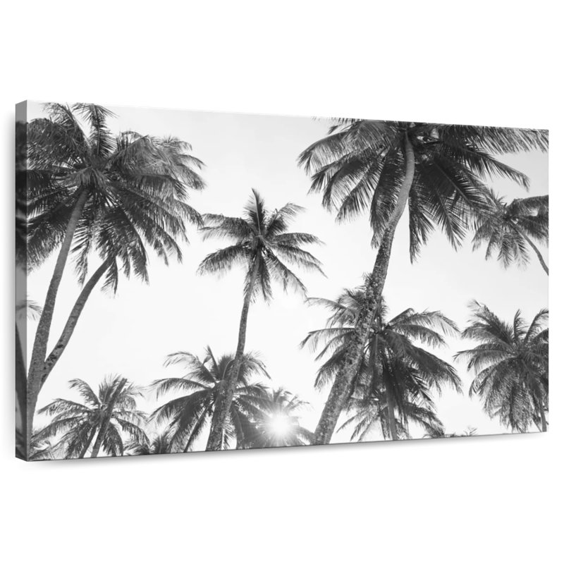 Harnek tropical en noir et blanc, H 8 po x l 12 po