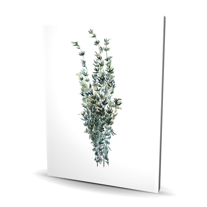 Thyme Leaves Bundle - White Illustrative Canvas for Home Decor
