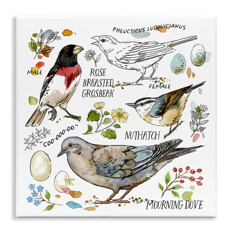 Art mural, oiseau, par Jane Maday
