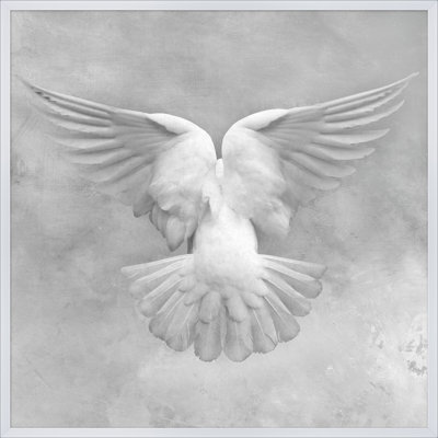 Soft Dove Print