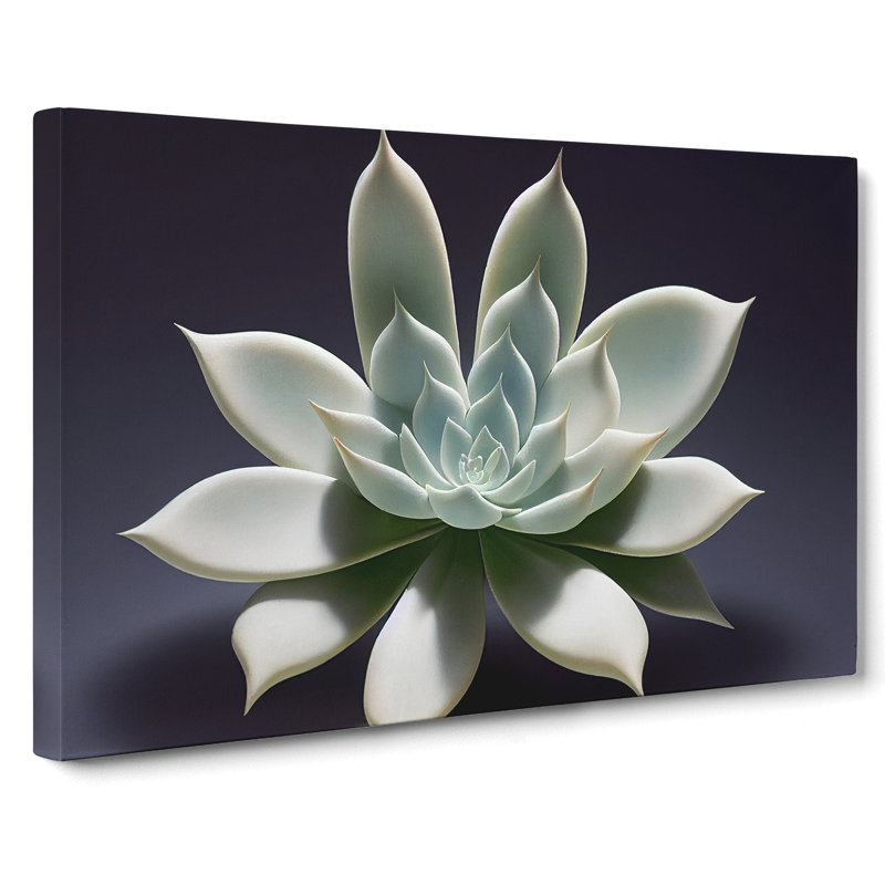 Exquisite Succulent Plant - Wrapped Canvas Print, 35cm H x 50cm W x 3cm D