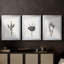 Encre botanique croquis II-457479929-457479932
