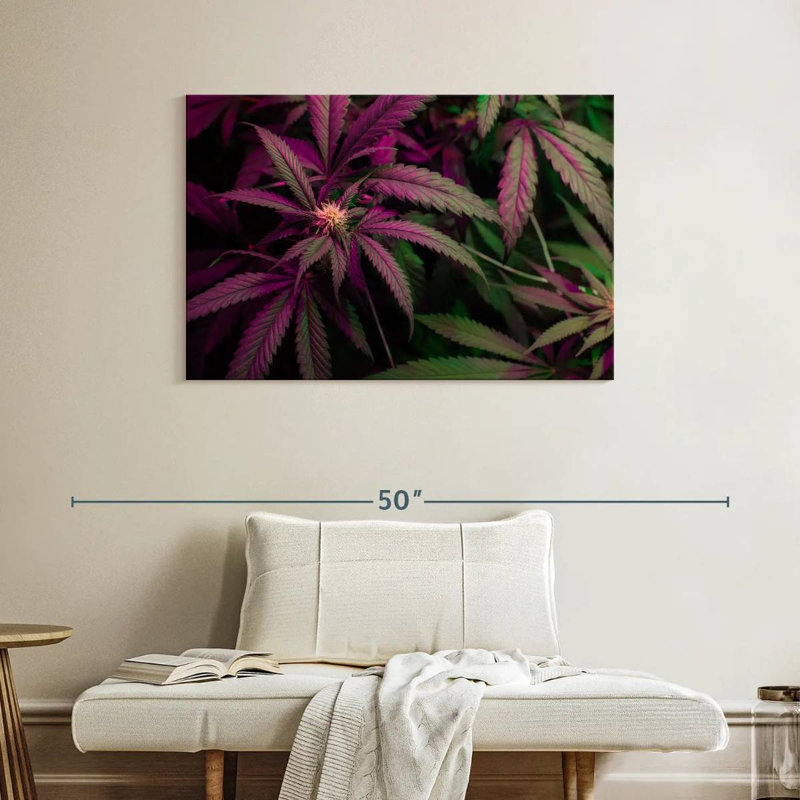 Lavander Marijuana, 26" H x 39" W