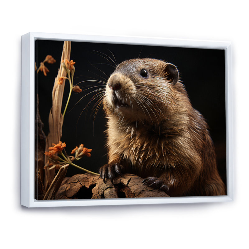 Portrait de castor sur toile, H 12 po x l 20 po x P 1 po, Cadre photo blanc
