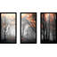 Autumn Woods par Photoinc Studio - Photographie de cadre 3 pièces-1483182121