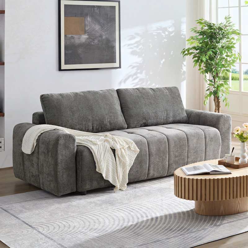 Latitude Run® 2 in 1 Pull Out Sleeper Sofa Couch Bed with Storage ...
