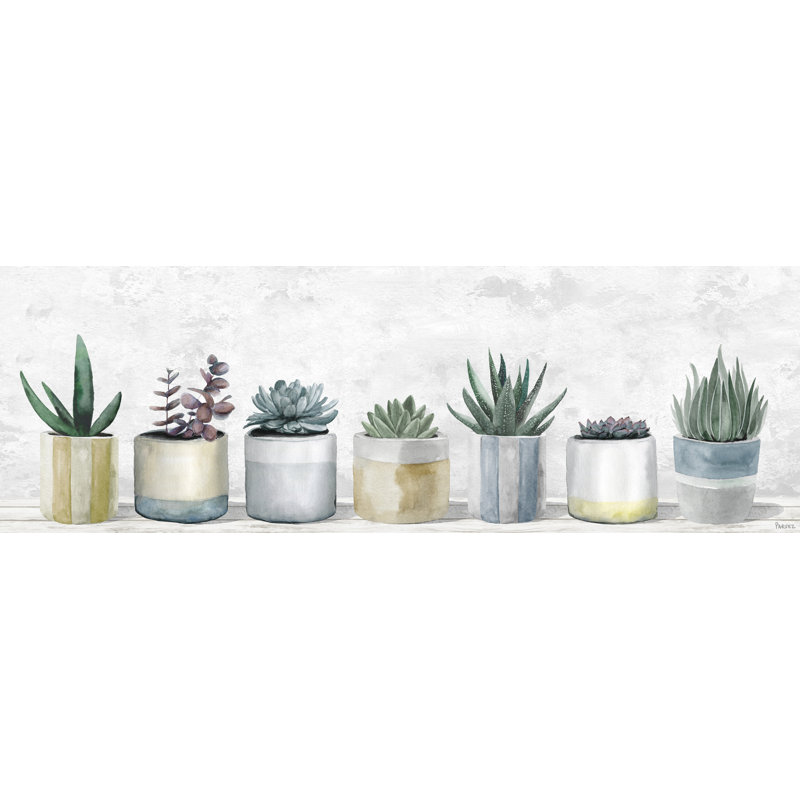 «Ultimate Succulents», reproduction sur toile tendue, H 5 po x l 15 po x P 1,5 po