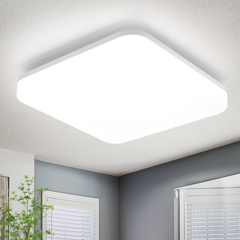 Dawnielle Plastic LED Flush Mount