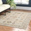 Emmie Oriental Beige/Olive/Denim/Charcoal/Sage Area Rug-732897581