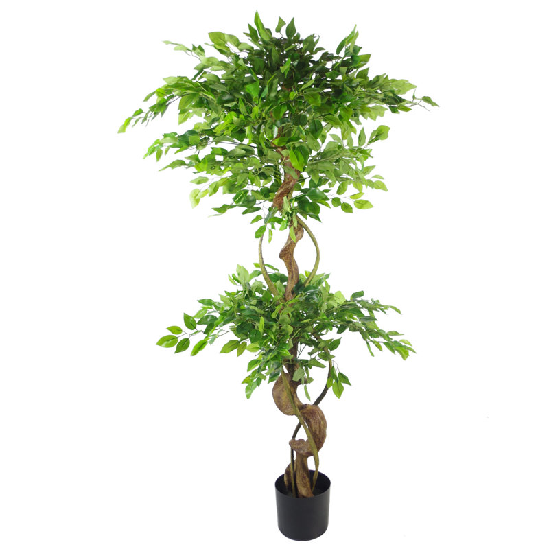 Faux Ficus Tree, Black, 120cm H x 20cm W x 20cm D