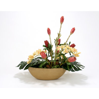 Orchid Arrangement