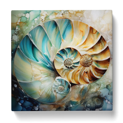 Seashell Abstract Art - Wrapped Canvas - Framed Print