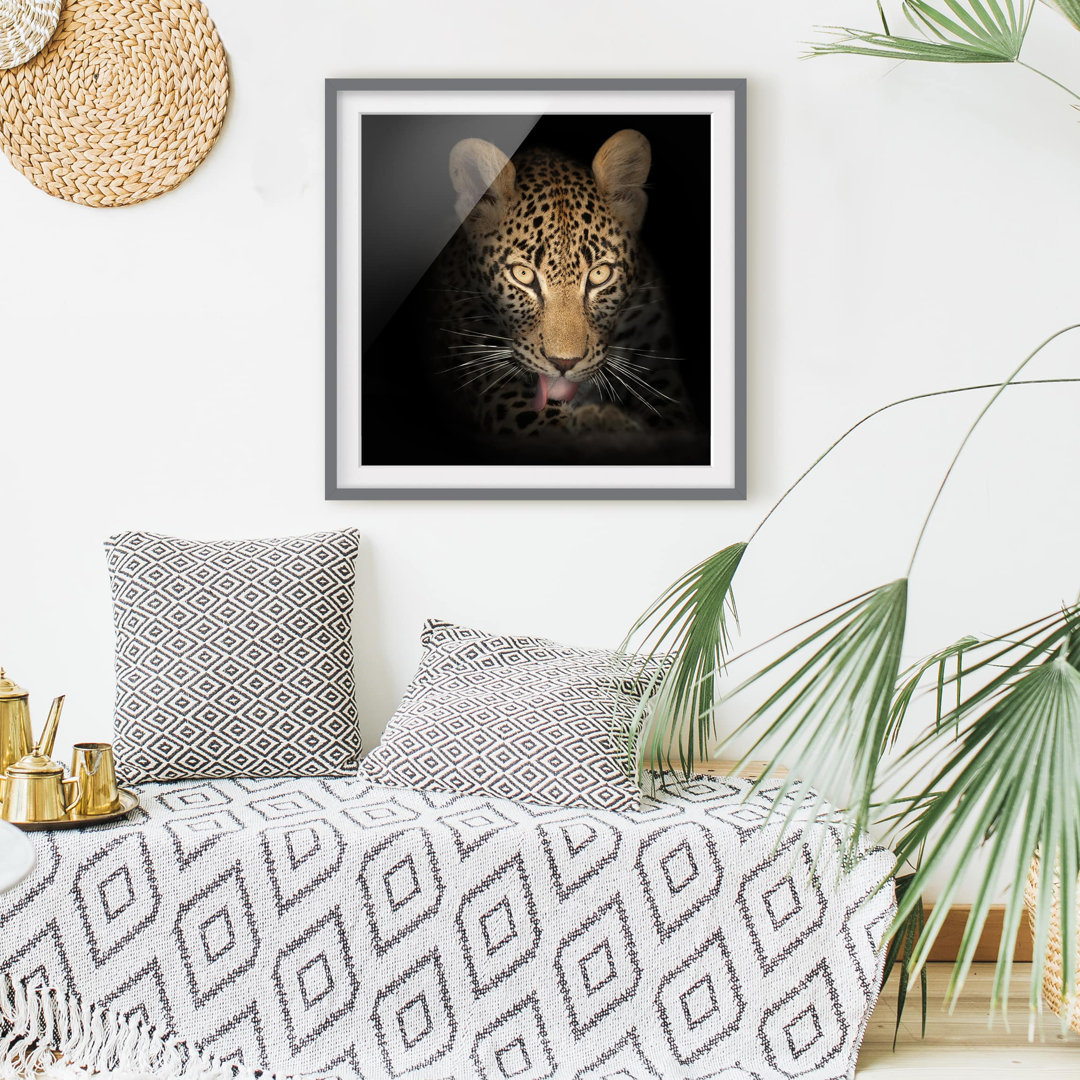 Gerahmtes Papierbild Ruhender Leopard