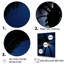 «Sapphire Solitude Midnight Palm» sur toile-97027680-97027681