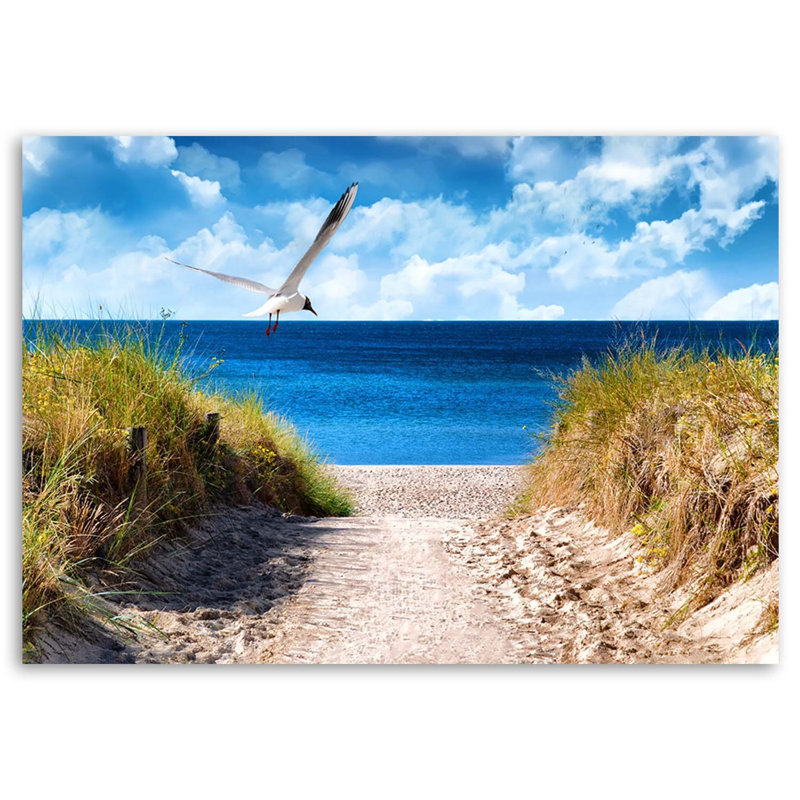 A Path To The Beach And A Seagull - No Frame Print on Canvas, 80cm H x 120cm W