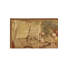 Wool Area Rug