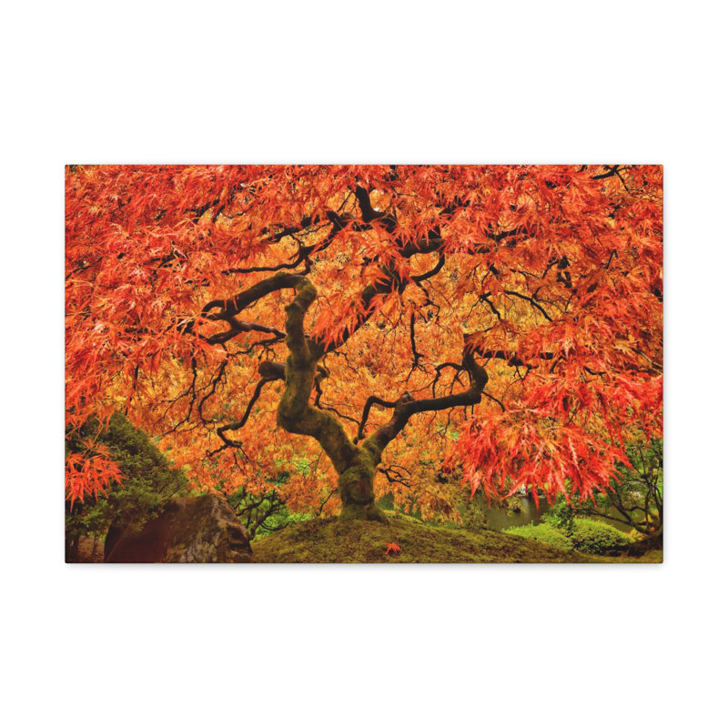 No Frame Print on Canvas, 12cm H x 16cm W