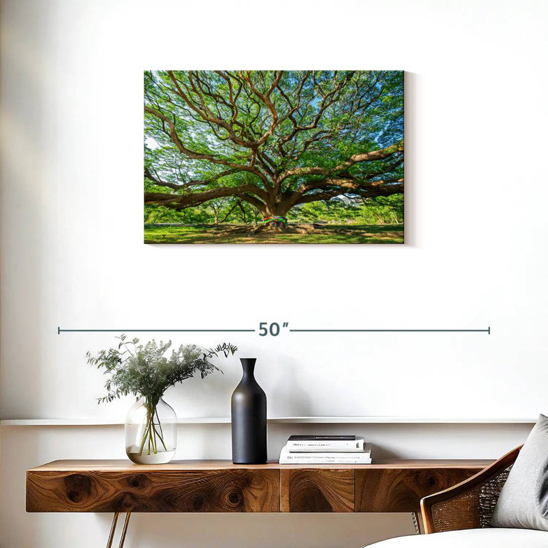 Vieil arbre Harnek, H 20 po x l 30 po