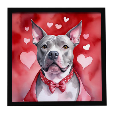 Pit Bull Terrier My Valentine, reproduction d'art encadrée