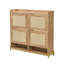 20 Pair Shoe Storage Cabinet