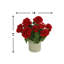UV Protected Potted Geranium Arrangement