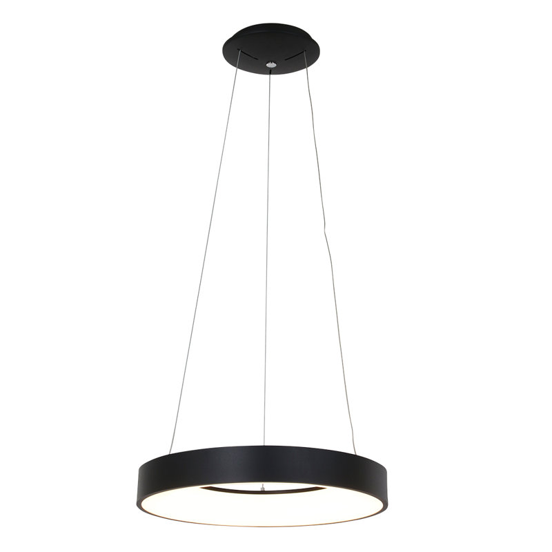 Birgitta LED Outdoor Pendant, Black