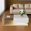 Table basse Flora avec plateau brillant, éclairage DEL et rangement-1013790022
