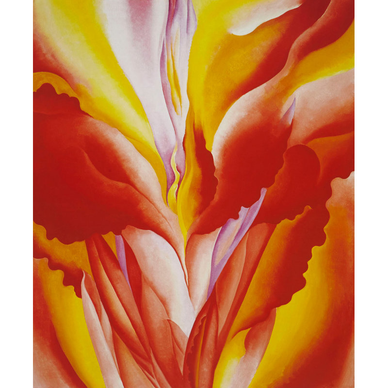 Canna rouge, H 24 po x l 20 po