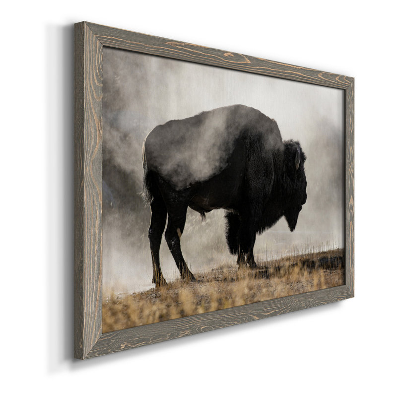 Geyser Basin - Impression sur toile, Gris, H 20 po x l 17 po x P 1,5 po