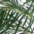 Robellini Artificial Palm Tree