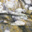 Evangeline Fabric