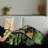 Throw Blanket-444526309