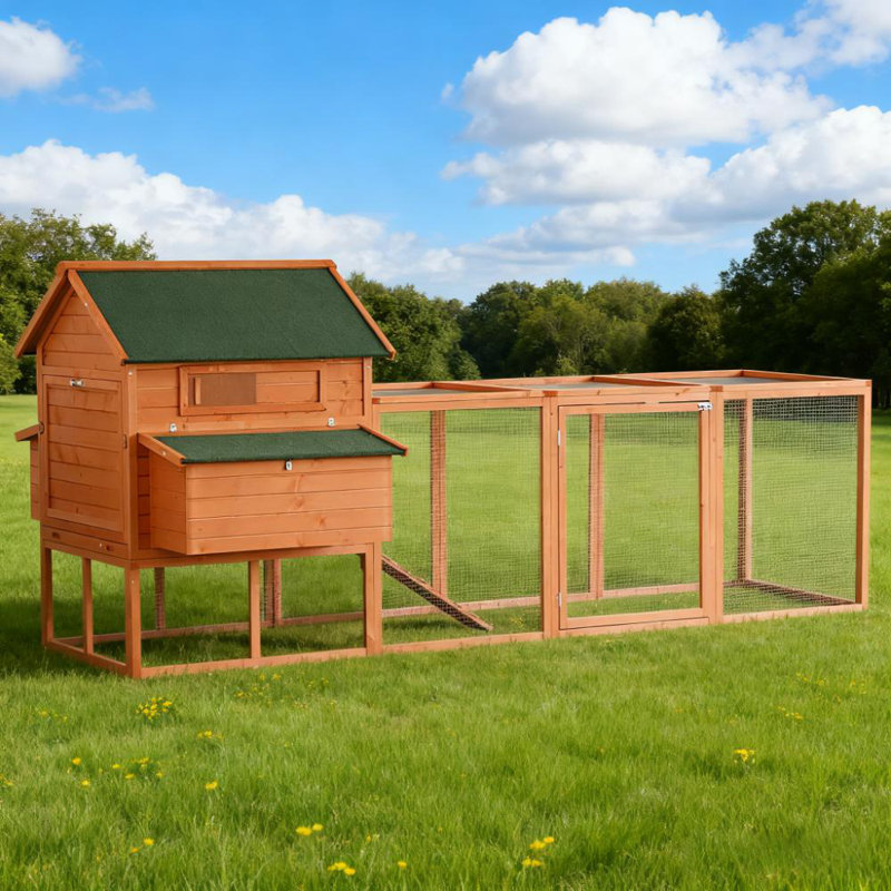 Cage à poules verrouillable
