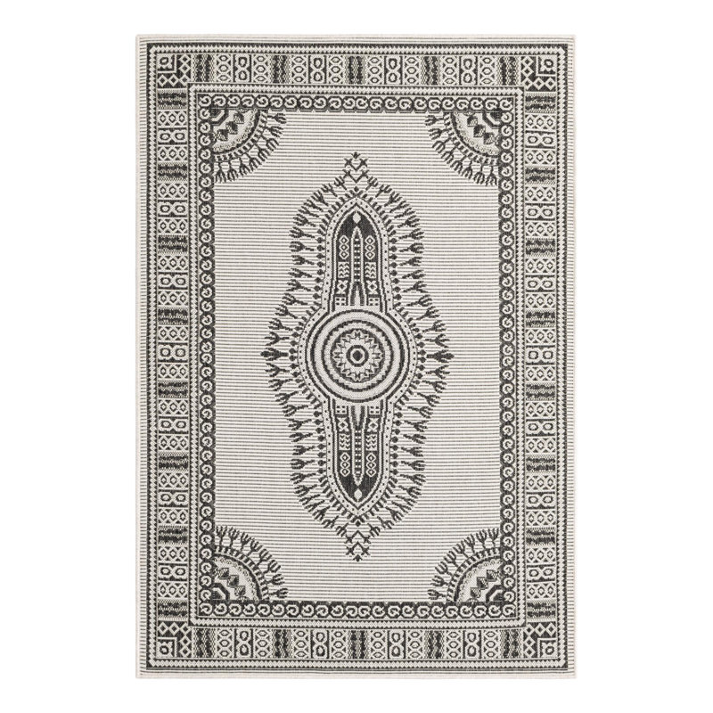 Oriental Indoor / Outdoor Rug, Rectangle 4'1" x 6'1"