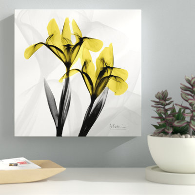 Iris - Wrapped Canvas Print